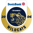 İstanbul Wildcats Academy