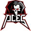 AceS GaminG