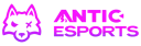 Antic Esports