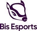 Bis Esports