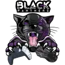 Black Panthers eSports