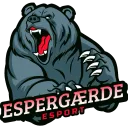 Espergærde eSport