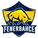 Fenerbahçe Esports