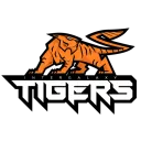 Intergalaxy Tigers Gaming