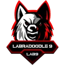 Labradoodle 9