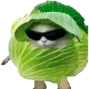 Lechuga Gaming