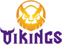 MGN Vikings Esports