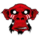 Mysterious Monkeys