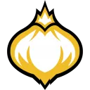 Onion Team