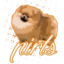 PIRTS