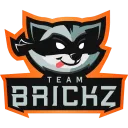 Team Brickz