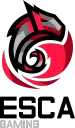 Team ESCA Gaming