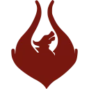 Team Phoenix