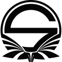 Team Singularity