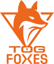 TeamOrangeGaming