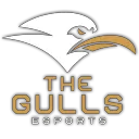 The Gulls Esports