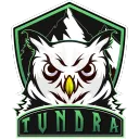 Tundra Gaming