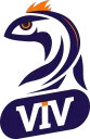 ViV Esport