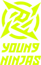Young Ninjas